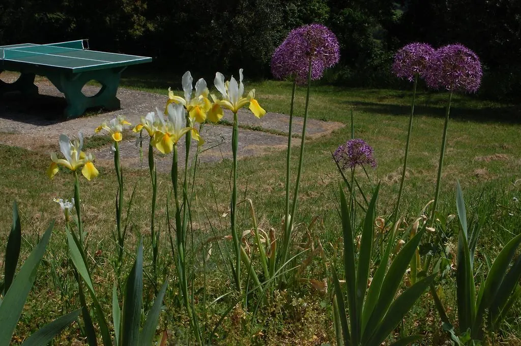 Farm stay Due Piani Villa Barberino Val d'Elsa